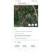  Hochgeladen am 01.08.2023 00:00:00Николаева Ирина 