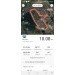  Hochgeladen am 18.08.2023 00:00:00Саулевич Нина 