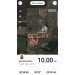  Hochgeladen am 19.09.2023 00:00:00Грумандь Елена 