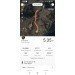  Hochgeladen am 18.09.2023 00:00:00Самокрутова Екатерина 