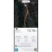  Hochgeladen am 08.09.2023 00:00:00Моликер Александра 