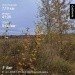  Hochgeladen am 21.10.2023 00:00:00Епишина Карина 