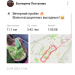  Hochgeladen am 22.09.2023 00:00:00Пестунова Екатерина 