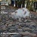  Hochgeladen am 27.09.2023 00:00:00Щербакова Ульяна 