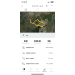  Hochgeladen am 26.09.2023 00:00:00Пихель Анна 