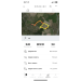  Hochgeladen am 29.09.2023 00:00:00Пихель Анна 