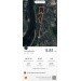  Hochgeladen am 06.10.2023 00:00:00Буланенков Павел 