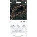  Hochgeladen am 11.10.2023 00:00:00Сафронов Олег 