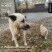  Hochgeladen am 01.11.2023 00:00:00Новикова Наталья 