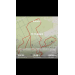  Hochgeladen am 11.11.2023 00:00:00Са Иван 