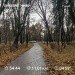 Hochgeladen am 07.11.2023 00:00:00Татарченко Юлия 