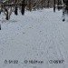  Hochgeladen am 26.11.2023 00:00:00Татарченко Юлия 
