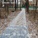  Hochgeladen am 20.11.2023 00:00:00Татарченко Юлия 