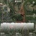  Hochgeladen am 03.01.2024 00:00:00Стадник Андрей 